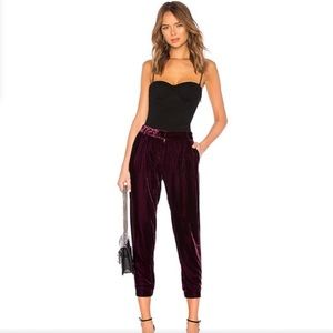 Parker Velvet Pants Morgan size 2